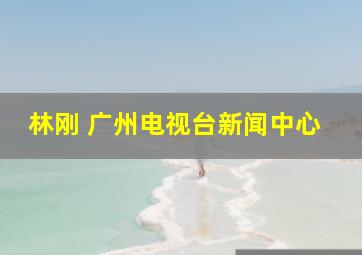 林刚 广州电视台新闻中心